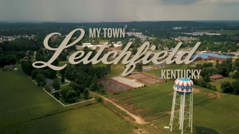 litchfield roof repair